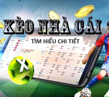 TWIN-Bắt đầu hành trình với code tân thủ ngay hôm nay!