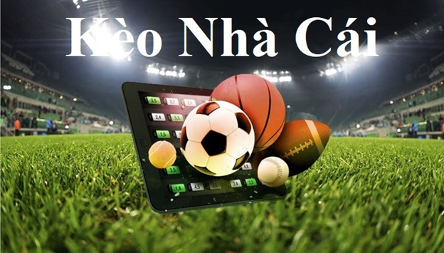 oxbet-Link truy cập nhanh: Đơn giản thuận tiện hiệu quả! oxbet-Link truy cập nhanh: Đơn giản thuận tiện hiệu quả!
